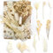 通用 Trockenblumen Set, Echte Getrocknete Gepresste Blumen und Blätter, DIY Natürliche Getrocknet Blumen Set für Kunst Basteln Dekoration (Weiß)