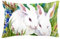 VAPOKF Zwei Kaninchen im Gras Kissenbezüge King 50,8 x 91,4 cm, Bauernhaus-Kissenbezüge, Kissenbezug für Frühling, Zuhause, Sofa, Couch, Dekoration