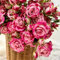 30 pcs rosensamen zum einpflanzen, rosen samen, blumen balkon, bonsai samen kletterrosen winterhart wiesenblumen samen, geschenk garten samen blumenwiese, balkonpflanzen bienenfreundliche