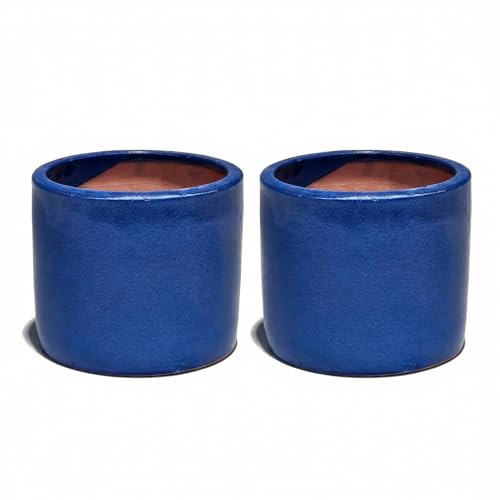 Teramico Keramik Pflanzgefäß Frostfest (Royal Blau, 2er Set 14cm x 13cm) | Premium Pflanzgefäße von Hand gearbeitet. Absolut Frostfest für Ihren Garten und Balkon.