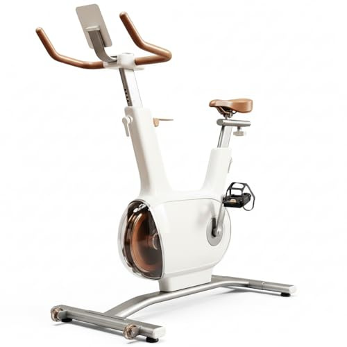 Sophy W1+ Indoor-Fahrrad – leises Getriebe und unendlicher Widerstand