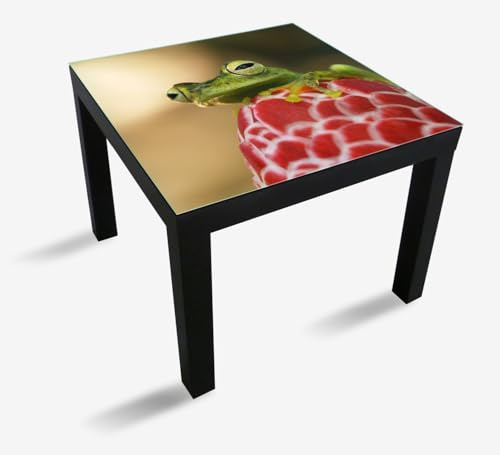 Wallario Glasplatte, Schutzplatte 55 x 55 cm - geeignet für IKEA Lack Tisch, für Beistelltisch/Couchtisch, Frosch sitzt auf Einer Knospe