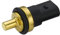 HELLA 6PT 013 113-291 Sensor, Kraftstofftemperatur - 2-polig - geklemmt - ohne Gehäuse - mit Dichtring
