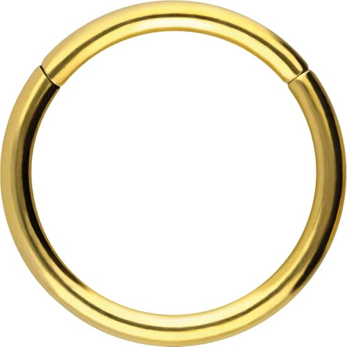 PIERCINGLINE Segmentring Clicker aus Chirurgenstahl - Piercing Ring in Gold, Silber, Rose, Schwarz oder Blau - für Nase, Septum, Ohr, Helix oder Tragus