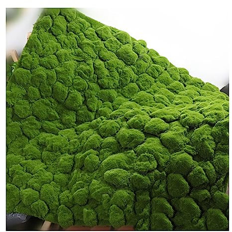 ALFAAL Kunstrasen Moos Deko Garten Mikro Landschaft Dekoration Artificial Grass Table Runner für Hofhochzeiten und Festliche Einkaufszentren (Color : C, Size : 200cmx100cm/78.74inx39.39in)