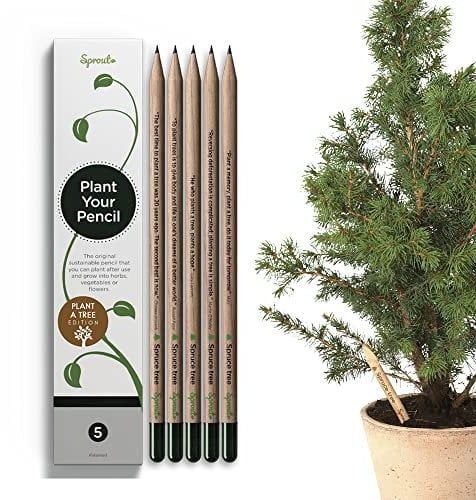 SproutWorld Bleistifte | Plant A Tree | Pflanzbare Graphit Bleistifte mit Fichtenbaumsamen | Eco-Friendly Bio Holz | Nachhaltiges Geschenk Eingraviert mit Inspirierenden Zitaten | 5 stk