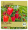 Samenliebe BIO Paprika Samen Gemüsesamen Yolo Wonder 10 Samen Gemüse Samen Garten Paprika Saatgut samenfeste einjährig Pflanzen für Gewächshaus, Garten und Balkon