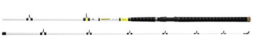 Daiwa Beef Kitty Wels-Spinnrute 2,7 m, 2 Stück, 15-30#, weiß