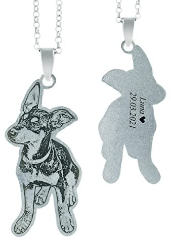 Xtiaotfrdy Collar personalizado con foto grabada personalizada para mascotas, gatos, perros, collares de fotos de plata de ley 925 para mujeres y niñas, Plata de ley 925, acero inoxidable, Circonia