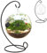 Glasterrarien für Pflanzen Luftpflanzen-Terrarium mit schwarzem Eisenständer klare Glasterrarien für Pflanzen lustiges DIY-Luftpflanzen-Terrarium-Set zum Aufhängen