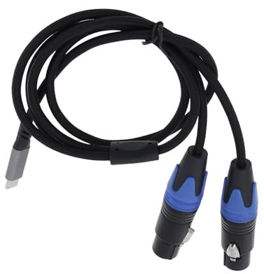 OTOTEC Cable de audio USB C a XLR hembra dual para grabación de karaoke y audio doméstico (1 m)