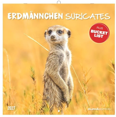 Erdmännchen 2027: Wandkalender 30x30 cm (30x60 cm geöffnet) mit Notizkalendarium, 12 Fotografien von Erdmännchen und Bucket-List