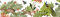 Anna Wand – Selbstklebende Bordüre/Borte/Wandbordüre „Waldpanorama” Wald Tiere Vögel – Mehrfarbig auf Weiss – 450 x 11.5 cm – Made in Germany