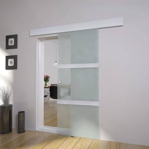 Xichuzi Puerta corredera de Cristal y Aluminio 178 cm Plateado, Puertas Interior, Puertas Correderas Granero
