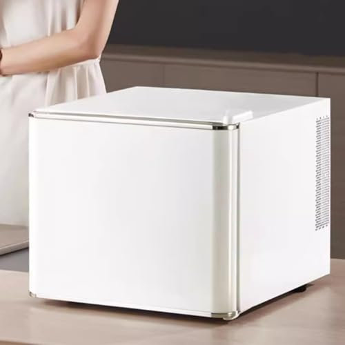 PP-Vic Mini Réfrigérateur Professionnel, Congélateur Pour Cosmétiques, Congélateur Pratique Pour Le Bureau, Glacière De Beauté À Économie D'énergie, Grande Capacité De 17 L