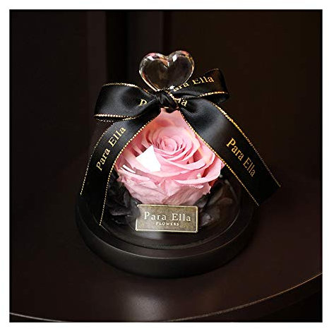 XUMI Rose Eternelle sous Cloche, La Belle Et La Bête Enchanted Rose Élégant Dôme en Verre Cadeau pour Anniversaire, Anniversaire, Saint Valentin, Noël, Thanksgiving,Rose
