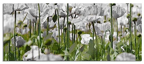 Pixxprint Glasbild Panorama, Wandbild aus Echtglas, Blumenwiese Mohnblumen, 100x40 cm, inkl. Aufhängung und Abstandshalter