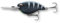 LMAB Crankbait 5,5 cm Power Vibe 55F - 3 Lauftiefen, Floating - Wobbler Barsch, Crankbait Wobbler, Kunstköder Angeln, Barsch Wobbler, Spinnfischen Köder (Black Tiger, DR | Lauftiefe 3-4 m | 14 Gramm)