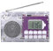 Radio Electronic DIY Kit, FM AM SW Digital Radio Receiver, Single Chip Computer Learning Assembly, For Electronic DIY Enthusiasts