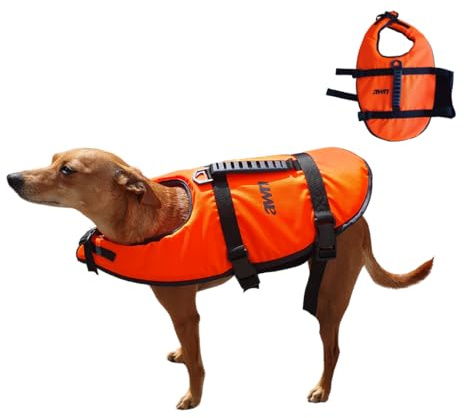 awn PawSaver Rettungsweste für Hunde, Schwimmweste in M, L, XL, mit Rettungsgriff, Reflektoren & Leinenöse, verstellbar, sicher & bequem, Orange-Schwarz, für Boot, SUP & Strand (XL)