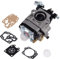 Queta Carburador para Motor de desbrozadora 52 CC 49 CC 43 CC 40 CC, Kit Carbu de dos tiempos con kit de reparación sello de diafragma y base de bombilla de bombas de cebado