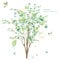 Fruit Tree Wall Stickers Large Green Leaves Birds Peel and Stick Wall Decals for Living Room Bedroom TV Background Wall Decor (W:107cm,H: 95cm)