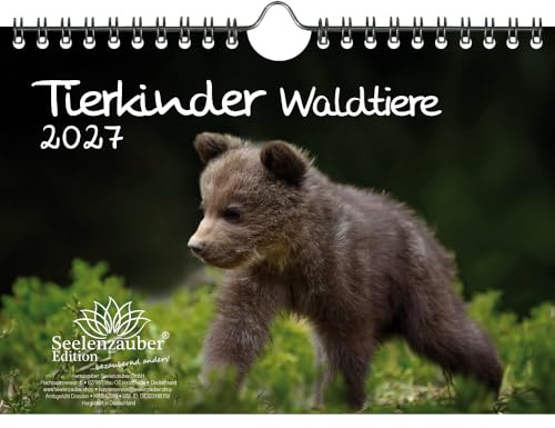 Tierkinder Waldtiere DIN A5 Kalender für 2027 Tiere im Wald - Seelenzauber