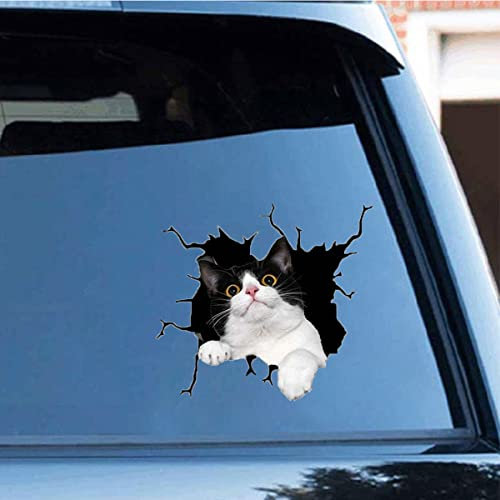 Zpahq Tuxedo - Adesivo per auto con gatto, 30 x 30 cm, impermeabile, per auto, auto, auto, finestre, camion, paraurti, frigorifero