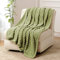FY FIBER HOUSE Fleece Kuscheldecken, extra weiche Flauschige Decken, leichte, gemütliche Mikrofaser Sofadecke/Wolldecke für Büro, Sessel und Camping, 150x200cm, Salbeigrün