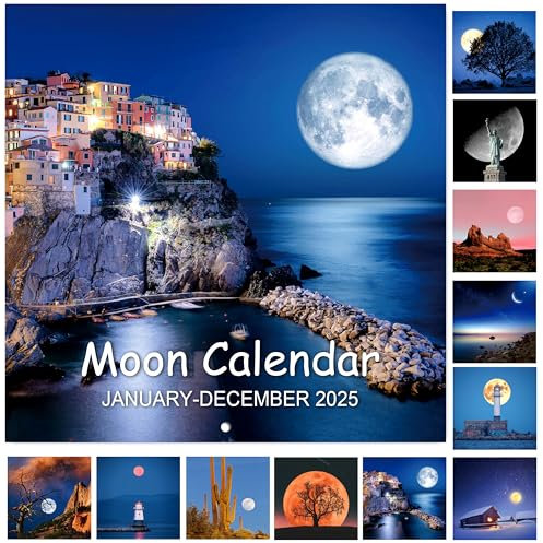Kalender 2024-2025 - Wandkalender 2024-2025, März 2024 - Jun. 2025, 30,5 x 61,0 cm (offen), 18-Monats-Wandkalender, perfekt für Büro & Zuhause - Mond