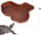 Quzente Schildkrötenbecken - Großes Schildkröten-Badebecken | Schildkröten-Badeschale für Nahrung und Wasser, Reptilien-Badebecken für Schlange, Bartagamen, Schildkröte, Gecko