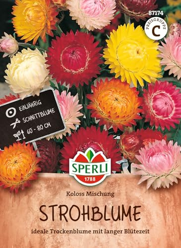 Sperli Strohblumensamen Koloss Mischung SPERLI's Koloss Mischung 87174 | Wuchshöhe 60-80 cm, Farbenprächtige Sommerbeet-Dekoration, Blüten in Weiß, einjährig
