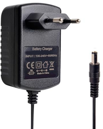 BNBBSC Chargeur universel 6 V 1 A pour voitures électriques d'enfants, motos, SUV et ATV