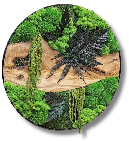 HelloMoss Quadro di muschio rotondo con telaio in acciaio e legno d'ulivo, decorazione da parete in muschio stabilizzato, realizzato a mano, Ø 40/50/60 cm, decorazione da parete premium per soggiorno