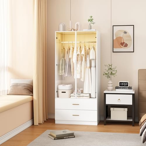 AONYAYBM Schlafzimmer Kleiderschrank mit Stange und LED, Kleiderschrank mit 2 Schubladen und 2 transparente Glastüren, Schrank 75x80x50 cm für Schlafzimmer und Wohnzimmer, Einfache Montage, Weiß