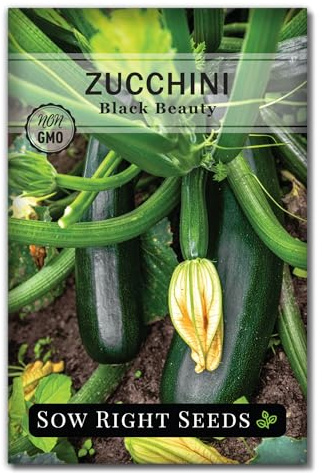 Sow Right Seeds - Black Beauty Zucchini Seeds for Planting - Non-GMO Heirloom Packet with Instructions to Plant a Home Vegetable Garden - Summer Squash - Classic Zucchini Good for Large Containers (1)