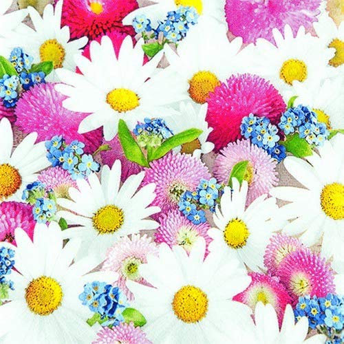 20 Servietten Sch?nheit des Frühlings | Margeriten | Blumen | Tischdeko 33x33cm