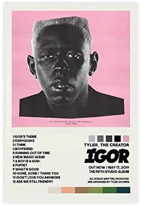 BSapp Tyler Poster Igor Album Cover Poster Leinwand Poster Schlafzimmer Dekor Sport Landschaft Büro Zimmer Dekor Geschenk 30 x 45 cm