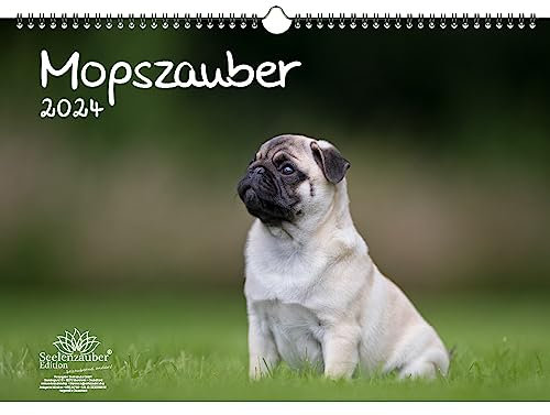 Mopszauber DIN A3 Kalender für 2024 Mops Hunde und Welpen - Seelenzauber