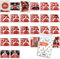Bundle mit UEFA EURO 2024 Germany - Sammelsticker - Mannschaftspaket - Dänemark + Exklusive collect-it Hüllen