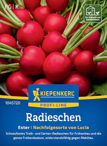 Kiepenkerl Radieschensamen Ester 1045720, Gemüsesaat | Widerstandsfähige Sorte, Inhalt für 8-10 laufende Meter, Schossfest, aromatisch