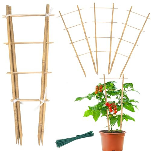 Bamboo Trellis 16 Ladder Vertical Gardening Plant Trellis for Climbing Plants Orchid Monstera and Indoor Potted Plants-6 Pack