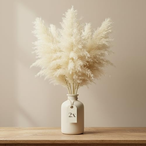 Getrocknetes weißes Pampasgras 40er Set - 50 cm große Trockenblumen als Natur Boho Tischdeko