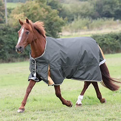 Shires Highlander Plus Pferdedecke, 50 g, Grün, 221 cm
