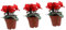 PHENOFICE 3St Topfpflanze Pflanzen gefälschte Bonsai- künstliche zimmerpflanzen kunstpflanze Decor dekorative gefälschte eingetopft Desktop-Blumendekor Blumen sind Seide rot