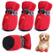 IKOPFLN Hundeschuhe, 4er-Set wasserdichte Schneeschuhe pfotenschutz mit Anti-Rutsch Sohle, pfotenschutz Hundeschnee Stiefel für Kleine Mittlere Hunde(Rot)