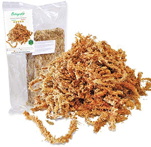 Ortisgreen Premium Quality Chilean Sphagnum Moos 250g, völlig natürlich und biologisch abbaubar. Ideales Substrat für Orchideen, Bonsai und vertikale Gärten.