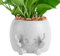 NQEUEPN Pot de Plante Souriant, Drôle Pot de Fleurs Fantaisie Résine Pots de Fleurs Jardinières Succulentes Support pour Pot de Plante d'Intérieur Décoration d'Intérieur Amoureux des Plantes Cadeau