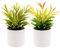 Gresorth 2 Stück Künstliche Sukkulenten Pflanze Dekoration in Töpfen Gefälschte Assortiert Geleebohne Sukkulente Eingetopft Bonsai Verzierung Startseite Garten Fensterbänke