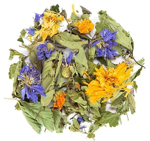 Familientee, BIO Kräutertee, 40g